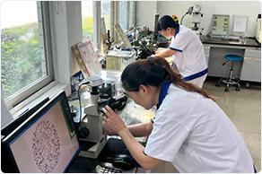 光谱材料自动检测仪